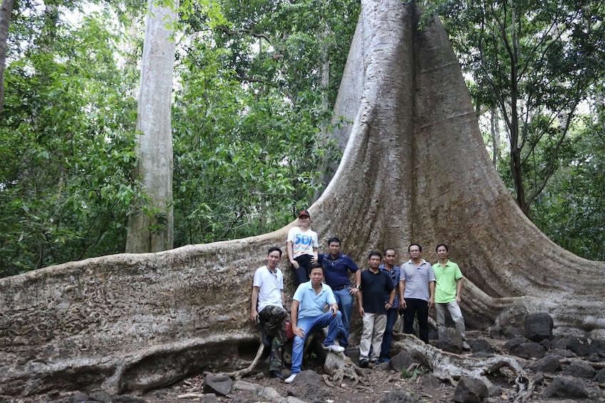 Tour group standing next to a unique tree in Cat Tien National Park in Vietnam

