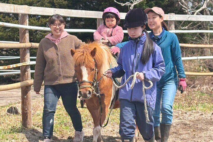 Harmony with Horses Gentle Interaction and Arena Ride