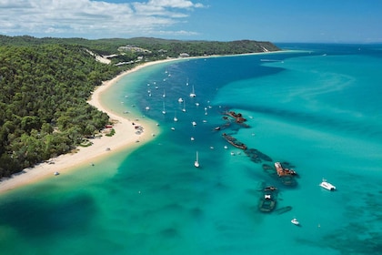 Moreton Island: Tangalooma Day Trip with Desert Safari