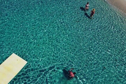 Pass giornaliero per il San Francisco Beach Club
