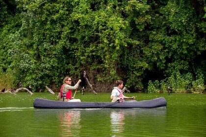 Lake Duluti Canoe Adventure