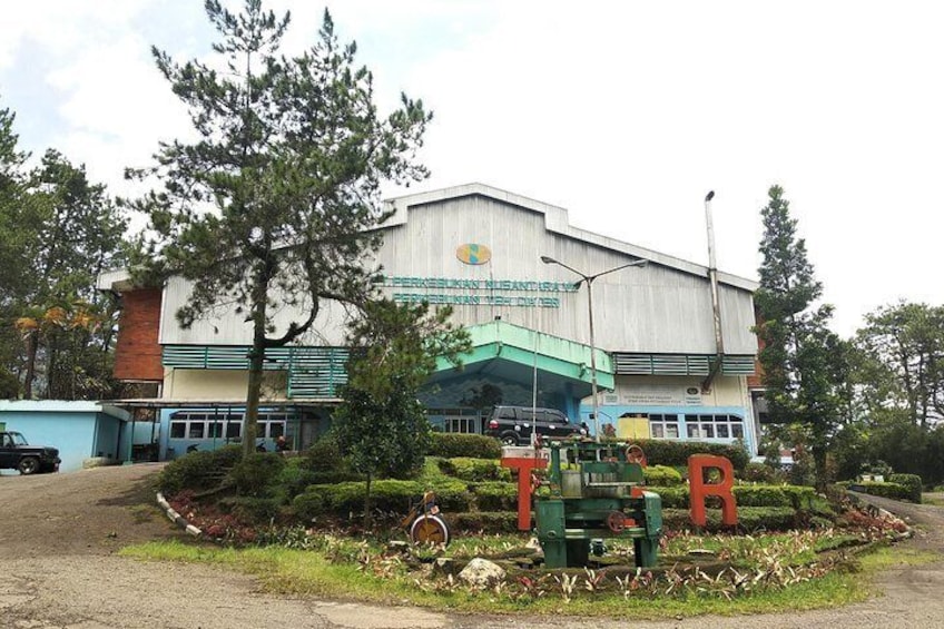 Tea factory. Subang- West Java