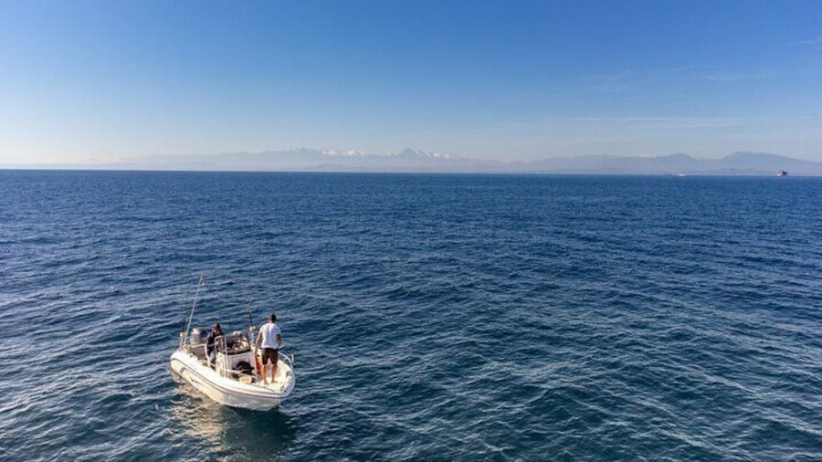 Private Full-Day Tuna Fishing in Tortoreto
