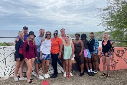 Panoramic Ocho Rios Heritage, Rafting and Swim Experience