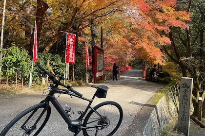 Private E-bike tour of Old Kyoto