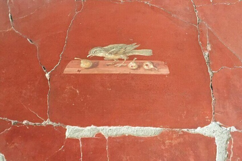 Guided tour of Pompeii - Skip the line entrance