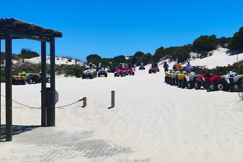 2 hours Sandboarding & Quad Biking Atlantis Dunes Cape Town 