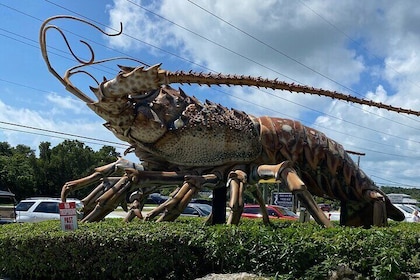 Miami to Key West with Islamorada Hop-Off + 6 Hours in Key West