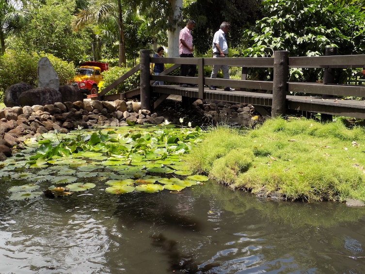 Full-Day Lautoka Sightseeing Tour