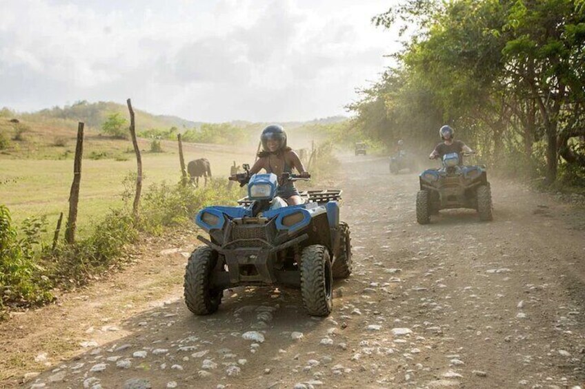 Zip-lining/Horseback Rides & Atv Inclusive Act with Transpo From Montego Bay