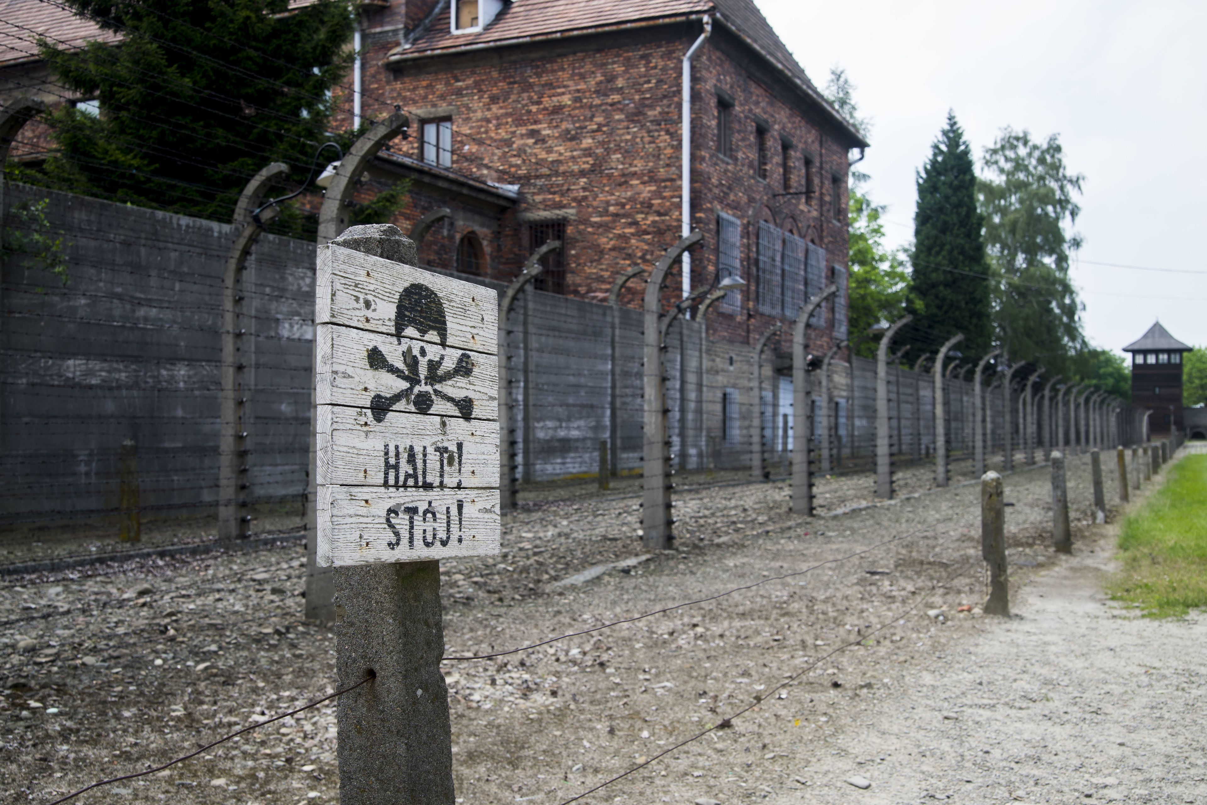 auschwitz concentration camp tour reviews