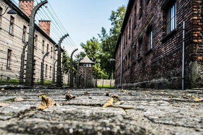 auschwitz private tour pickup from hotel