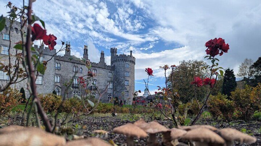 Private walking Tour of Kilkenny. English, French or German