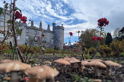 Private walking Tour of Kilkenny. English, French or German