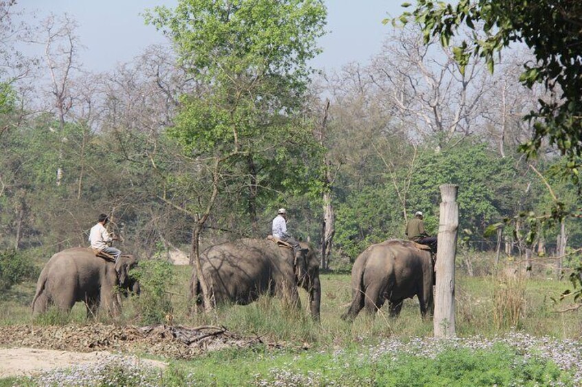 Elephant Breeding Center 