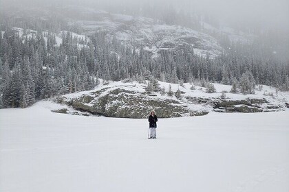 Ladies Snowshoeing Adventure Rocky Mountain National Park