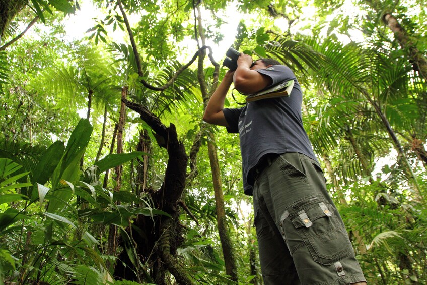 Bird Watching tour la Fortuna
