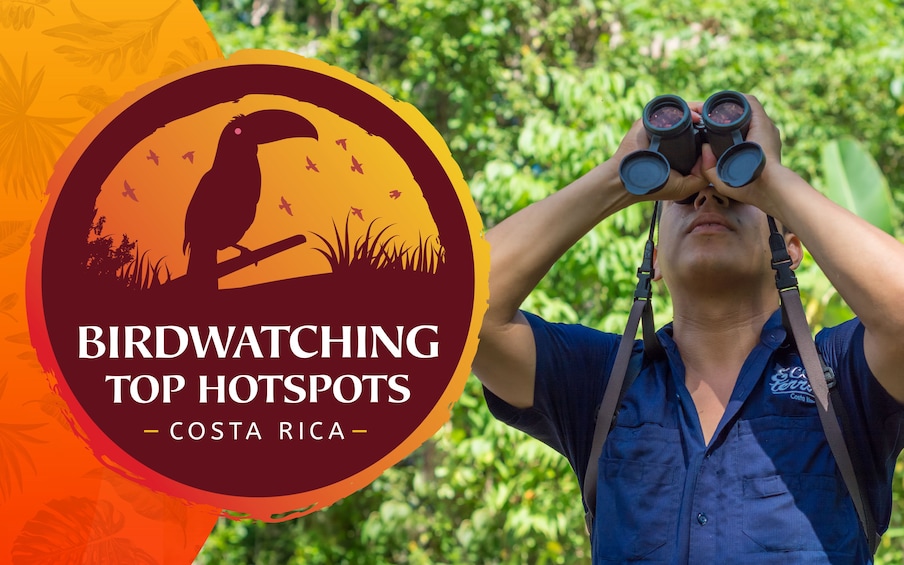 Bird Watching tour la Fortuna