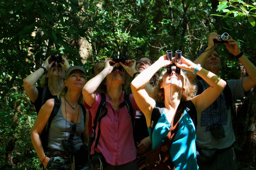 Bird Watching tour la Fortuna