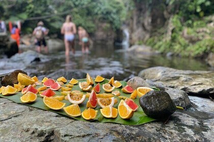 Meet Your Guide for El Yunque Adventure and Old San Juan Historical Walking...