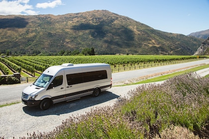 Visite d'un échantillon de vin à Queenstown