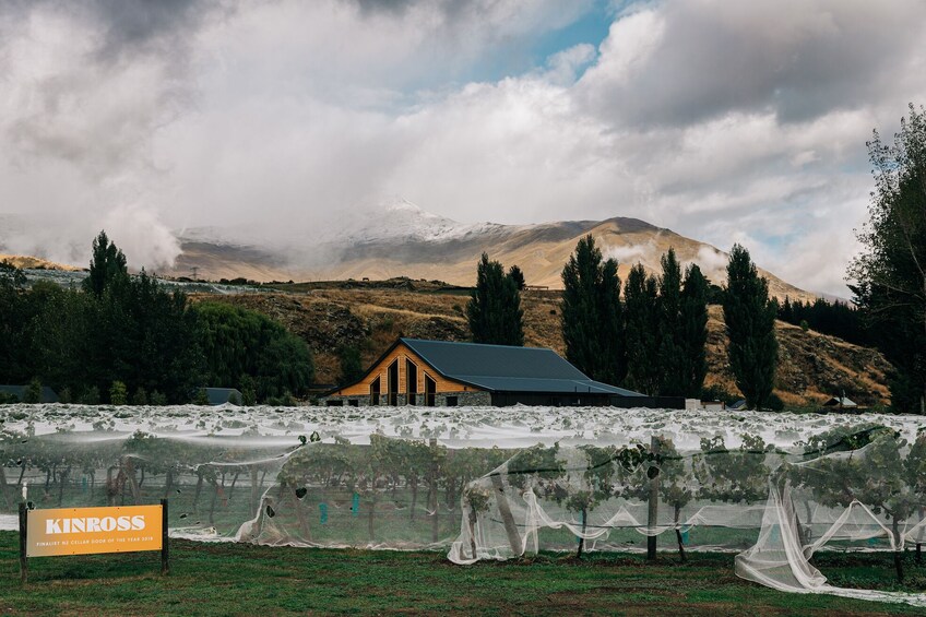 Queenstown Wine Sampler Tour