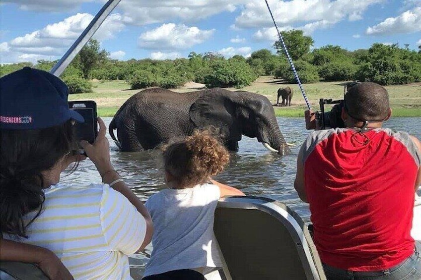 Chobe Boat Cruise & Game Drive Day Trip