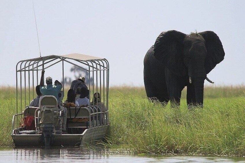 Chobe Boat Cruise & Game Drive Day Trip