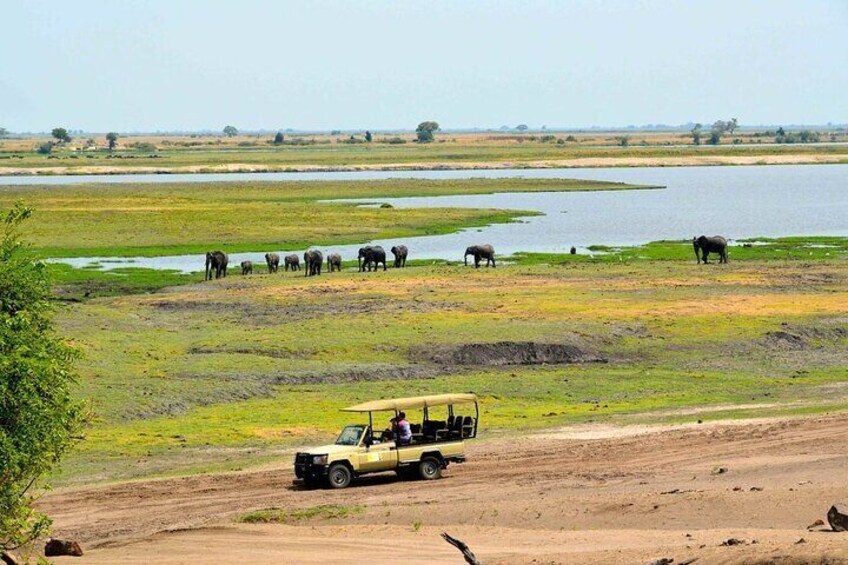 Chobe Boat Cruise & Game Drive Day Trip