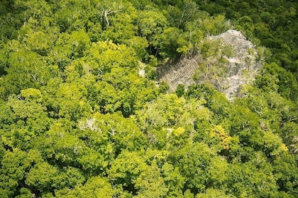 Helicopter Tour El Mirador La Danta From Flores