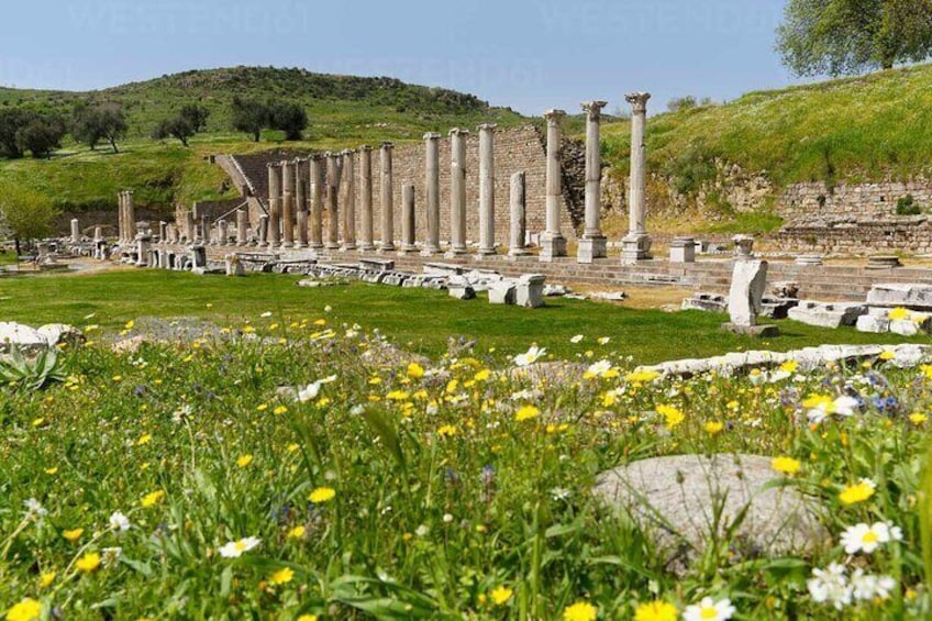 Full Day Tour in Kusadasi
