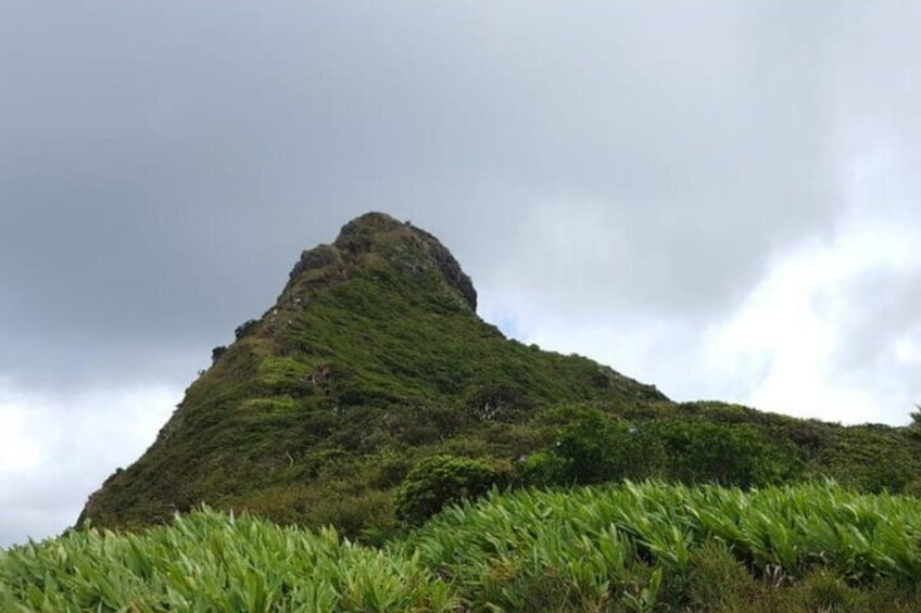 Le Pouce Mountain - The Thumb 