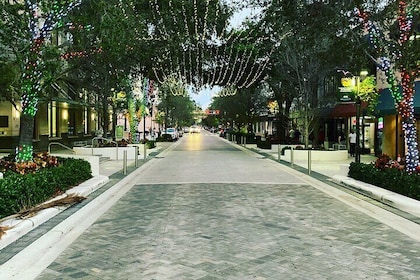 Party Bike Tour on Clematis Street, Downtown West Palm Beach