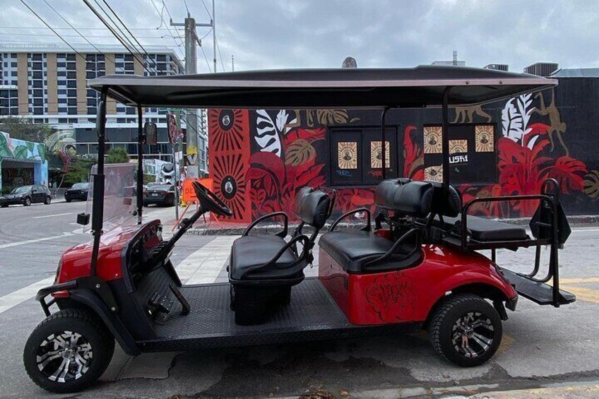 Private VIP Cart Tour in Miami