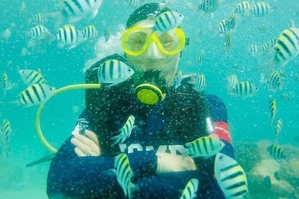 Private Half-Day Scuba Diving and Snorkeling With Your Expert Tour Guide