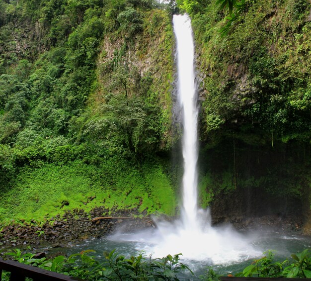 Horseback Riding To The La Fortuna Waterfall 