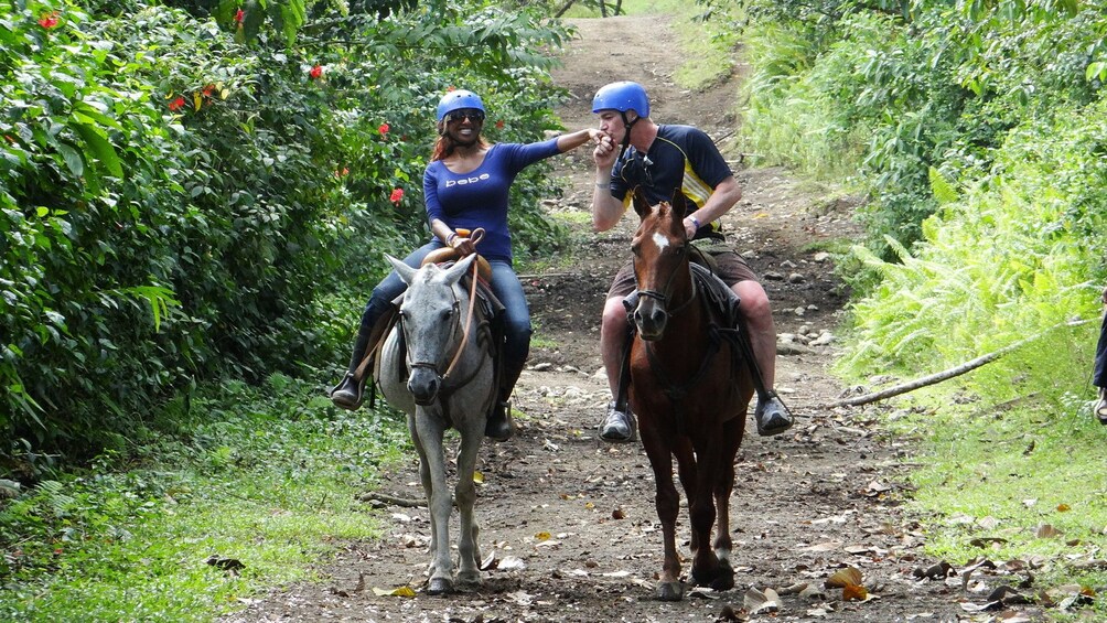 Horseback Riding To The La Fortuna Waterfall 