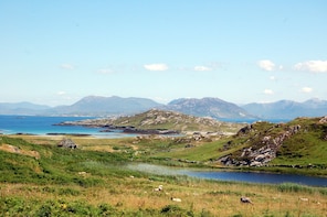 Discover Inishbofin Island including lunch from Galway