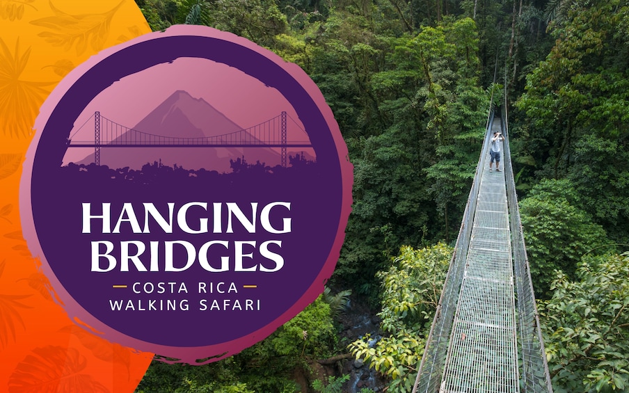 Arenal Hanging Bridges Hike 