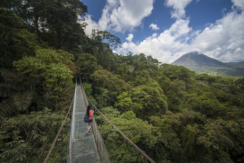 Arenal Hanging Bridges Hike 