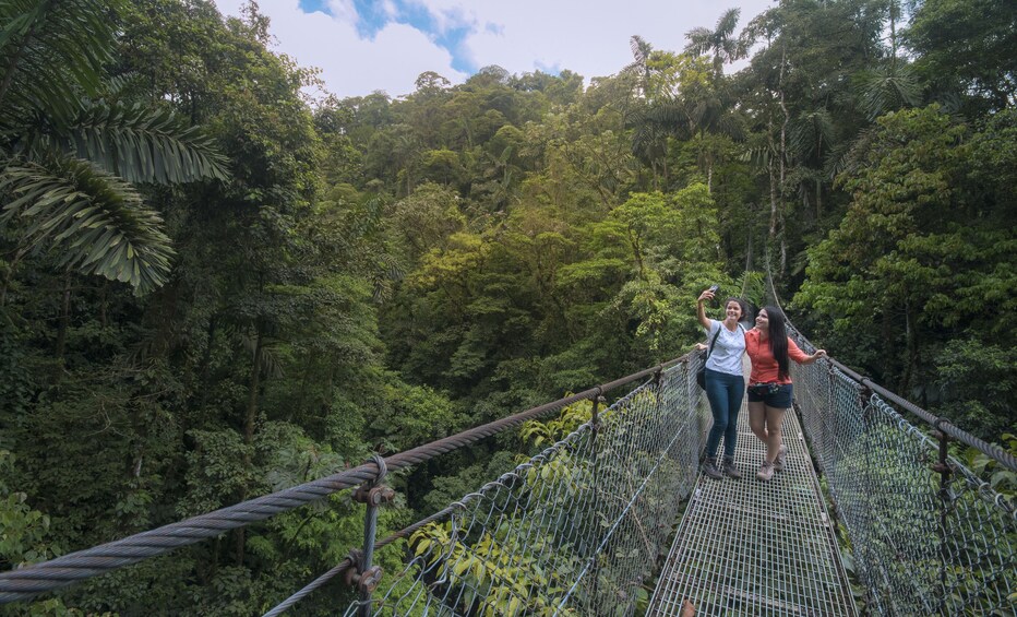 Arenal Hanging Bridges Hike 