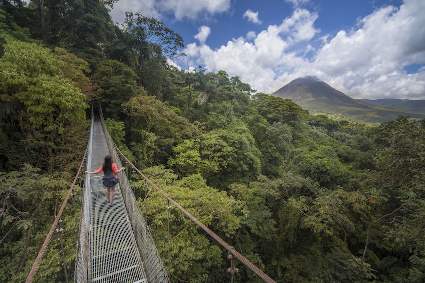 Arenal Hanging Bridges Hike 