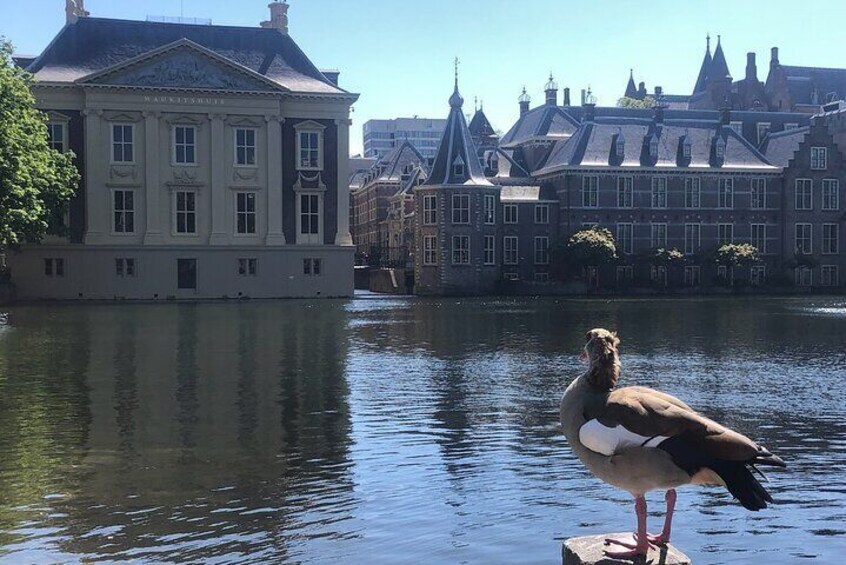 Holland Four City Charm Tour - Private Day Tour