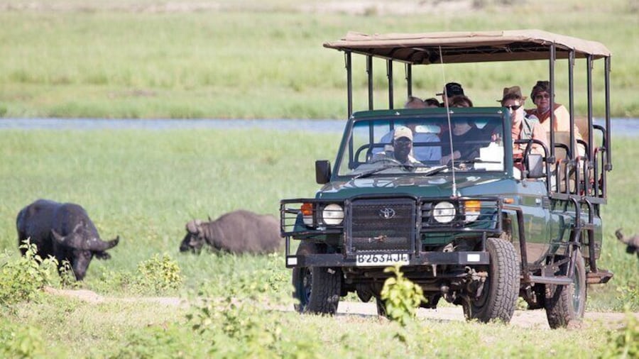 Boat Cruise And Game Drive in Chobe National Park