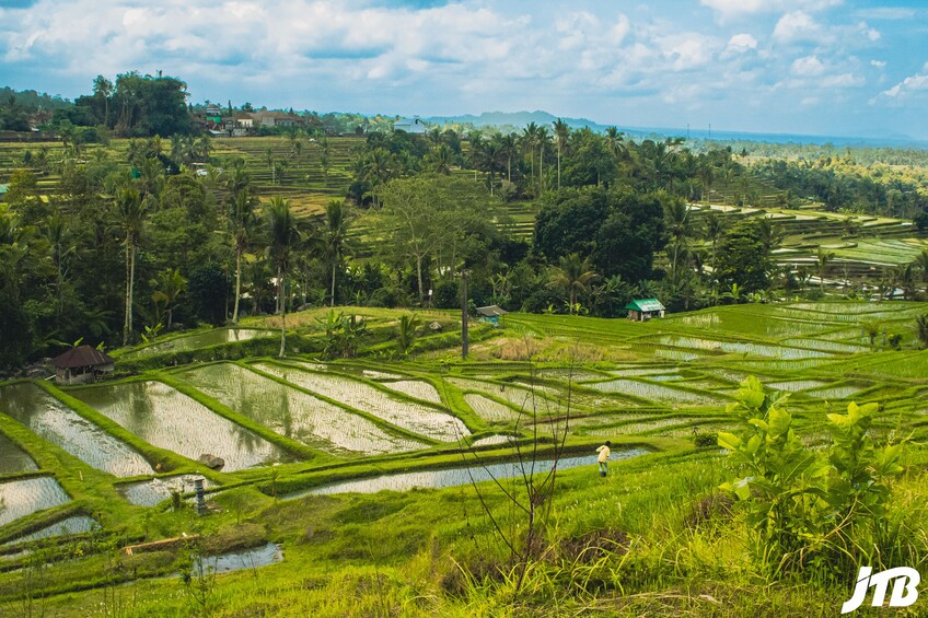 Bali Tour - Full Day in VW Safari