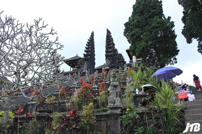Bali Tour - Full Day in VW Safari