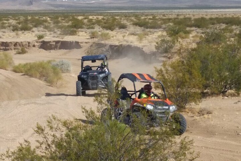 Las Vegas RZR Tours