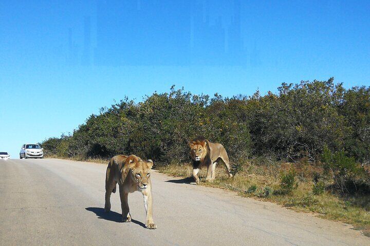 3 Day Garden Route Safari