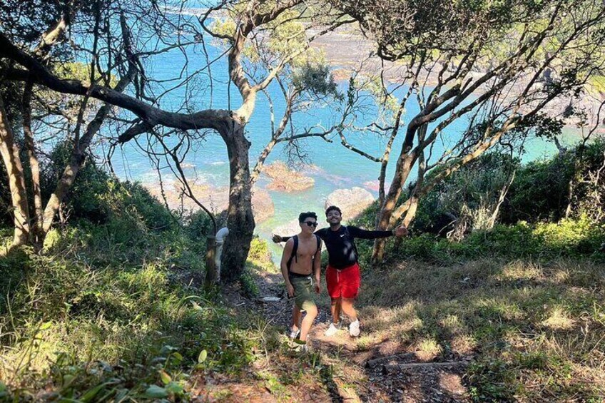 3 Day Garden Route Safari