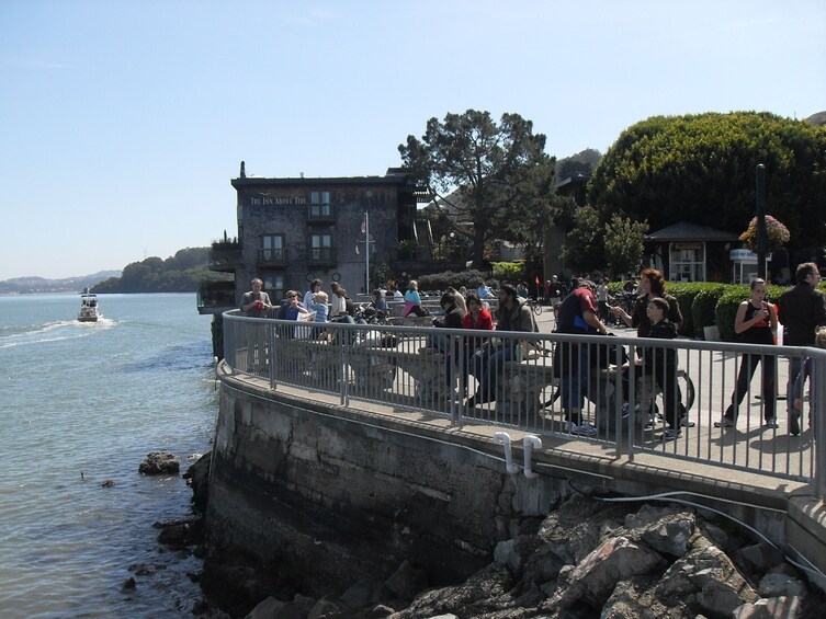 City & Woods: 1 Day Hop-On Hop-Off & Muir Woods Tour